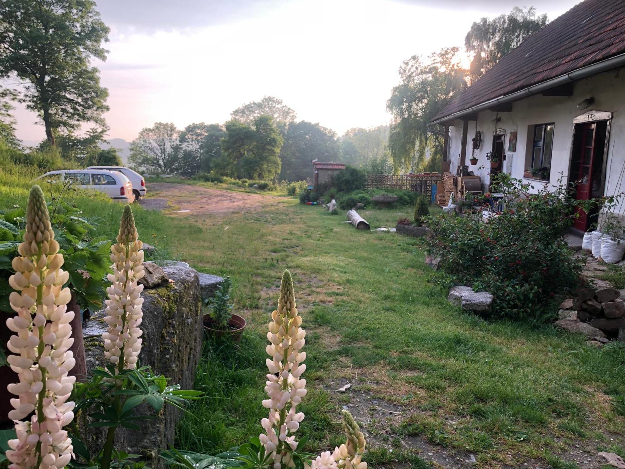 127 Let Stara Chalupa Se Spanim Na Peci A Finskou Saunou Jistebnice Exterior photo